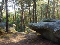 2016-10-09 Les gorges d Apremont 0042